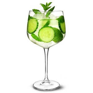 Gin Cocktail Glasses 26oz / 700ml