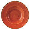 Churchill Stonecast Spiced Orange Wide Rim Bowl 11" / 28cm