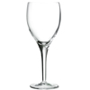 Michelangelo Masterpiece Grandi Vini Glasses 12oz LCE at 250ml