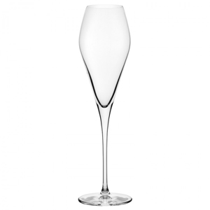 Nude Fantasy Champagne Glasses 10.25oz / 290ml