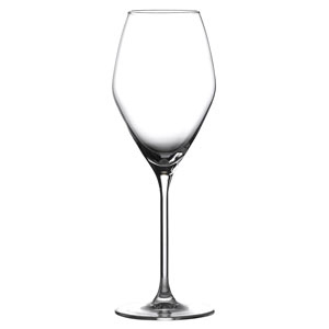 Doyenne Sparkling Wine Glasses 12oz / 340ml