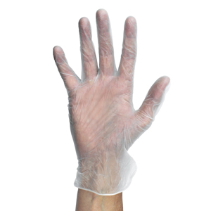 Clear Powder Free Gloves Large