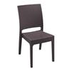 Mint Side Chair Brown