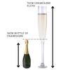 Giant Champagne Glass 70 x 10cm 2.4ltr