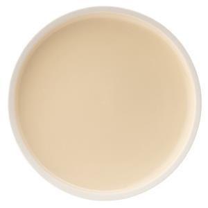 Forma Vanilla Plate 9.5inch / 24cm