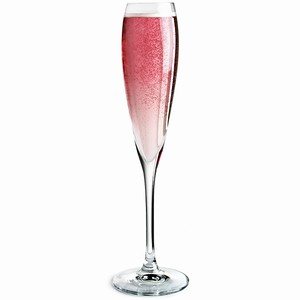 Sensei Champagne Flutes 7.4oz / 210ml