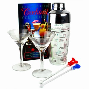 Cocktail Set with Martini Glasses