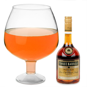 Giant Acrylic Brandy Glass 193.5oz / 5.5ltr