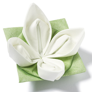 Seerose Origami Dinner Napkins Green & White 40cm