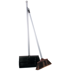 Spot Sweep Dustpan and Brush