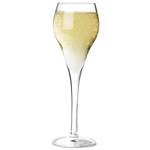 Brio Champagne Flutes 3.3oz / 95ml