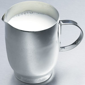 Define Stainless Steel Milk Jug