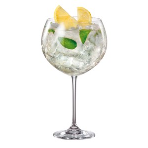 Enebro Gin Cocktail Glasses 30oz / 850ml