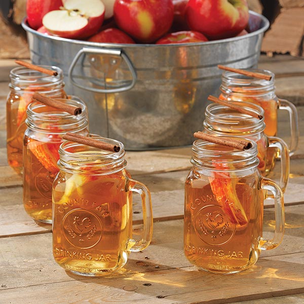 Libbey County Fair Glass Drinking Jars Set of 12