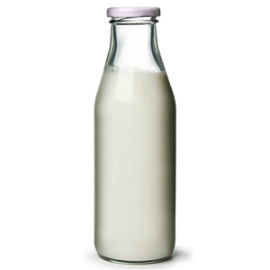 Milk Bottle 500ml Single