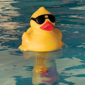 Derby Duck Floating Spa Thermometer