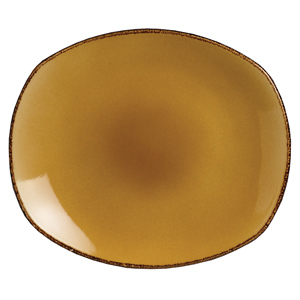 Steelite Terramesa Spice Plate Mustard 10" / 25.5cm