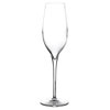 Vinea Champagne Flutes 7oz / 200ml