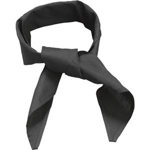 Black Neckerchief