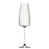 Lord Champagne Flute 12oz / 340ml