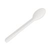 Compostable Paper Spoon 6.25inch / 15.8cm