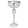 Champagne Coupe Etched Bucket on Stand