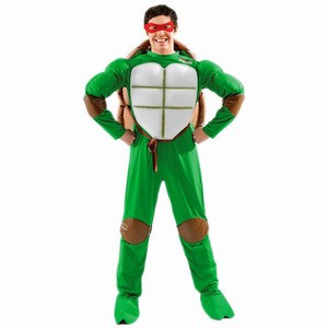 Teenage Mutant Ninja Turtle Costume | Drinkstuff