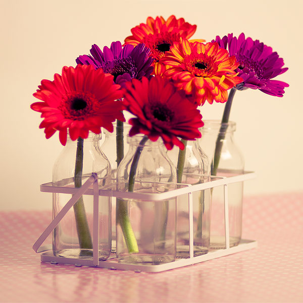 Kilner Drinking Jar Flower Lids  Daisy Lids For Drinking Jars - Buy at  Drinkstuff